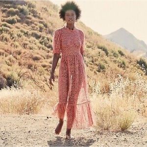 Dôen Feather Dress in Dark Rosewood EUC XS